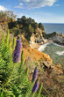 Big Sur Waterfall