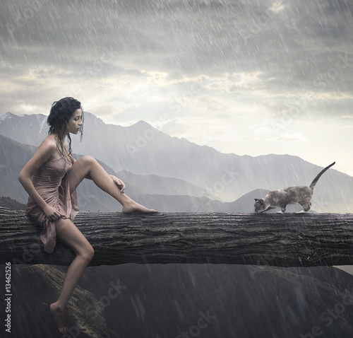 Young Woman And Cat On A Trunk