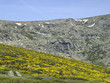 Parque Natural de Peñalara, Madrid