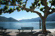 panchina e lago in ticino, svizzera, ascona panchina e lago in ticino, svizzera, ascona