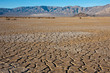Cracked Earth Landscape Cracked Earth Landscape