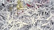 Office waste