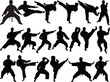 big karate collection - vector big karate collection - vector