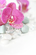 Orchid laying on stones