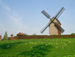 The Mill / Die Mühle