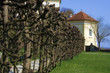Dachau