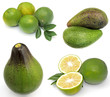 citrons et avocats