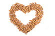 heart from hazel nuts