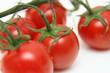 Tomatoes on white