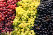 grapes three varieties and colors