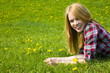 sommerwiese