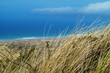 Dünen am Meer