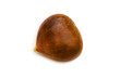 One chestnut isolated on the white background