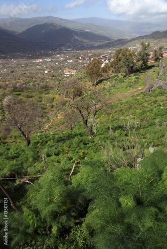 Photo: Bronte Bronte