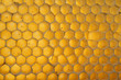 Wabe / Honeycomb