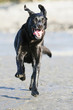 Photo: The definition of happy The definition of happy