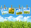 Tall grass with 4 pictures on clothesline