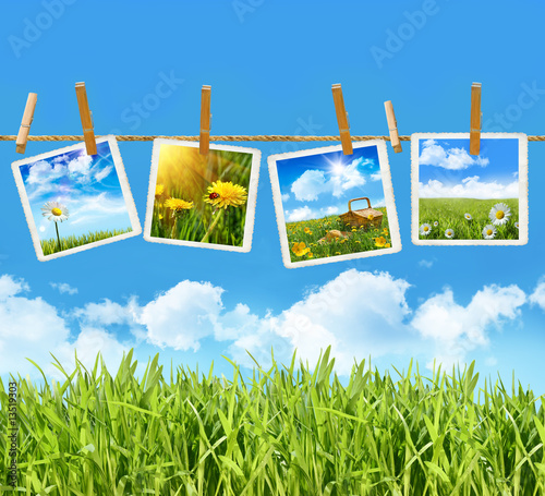 Tall grass with 4 pictures on clothesline