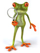 Grenouille avec une loupe