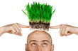 Grass hair Grass hair