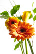 Blumen02