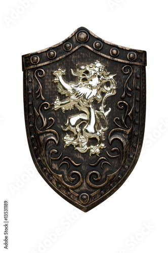 Photo: shield shield