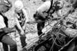 Rock climbing rescure team in action.