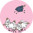 black sheep