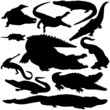 Photo en ligne au meilleur prix 11 Pieces of Detailed Vectoral Crocodile Silhouettes