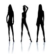 sexy silhouette