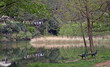 reflets dans l'eau
