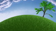 Tree growing on meadow,fish eye view,time-lapse clouds