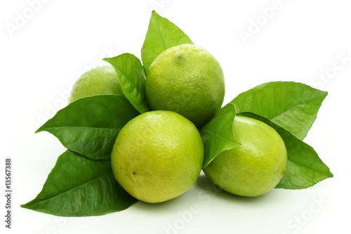 Limes. Limes.