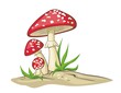 Red Mushrooms