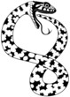 Snake Tattoo 03 - black illustration