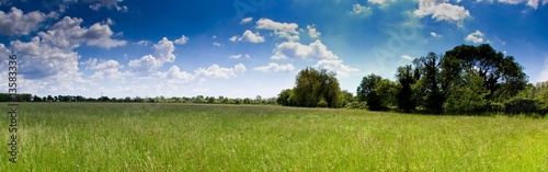 prairie camarguaise