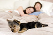 Couple in bed
