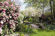 Typical English Garden Typical English Garden