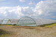 Greenhouses Greenhouses