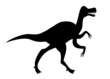 Dinosaure : Agilosaure (Agilisaurus)
