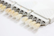 teeth