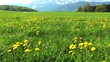 bayerische landschaft