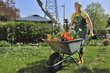 gardening gardening