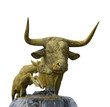 taureau taureau