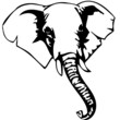 Elefantenkopf