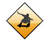 skateboarder icon skateboarder icon