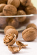 walnut