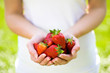 Photo: Hands full of strawberries Hands full of strawberries