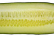 cucumber closeup