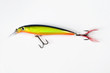 Isolated Fishing Crankbait